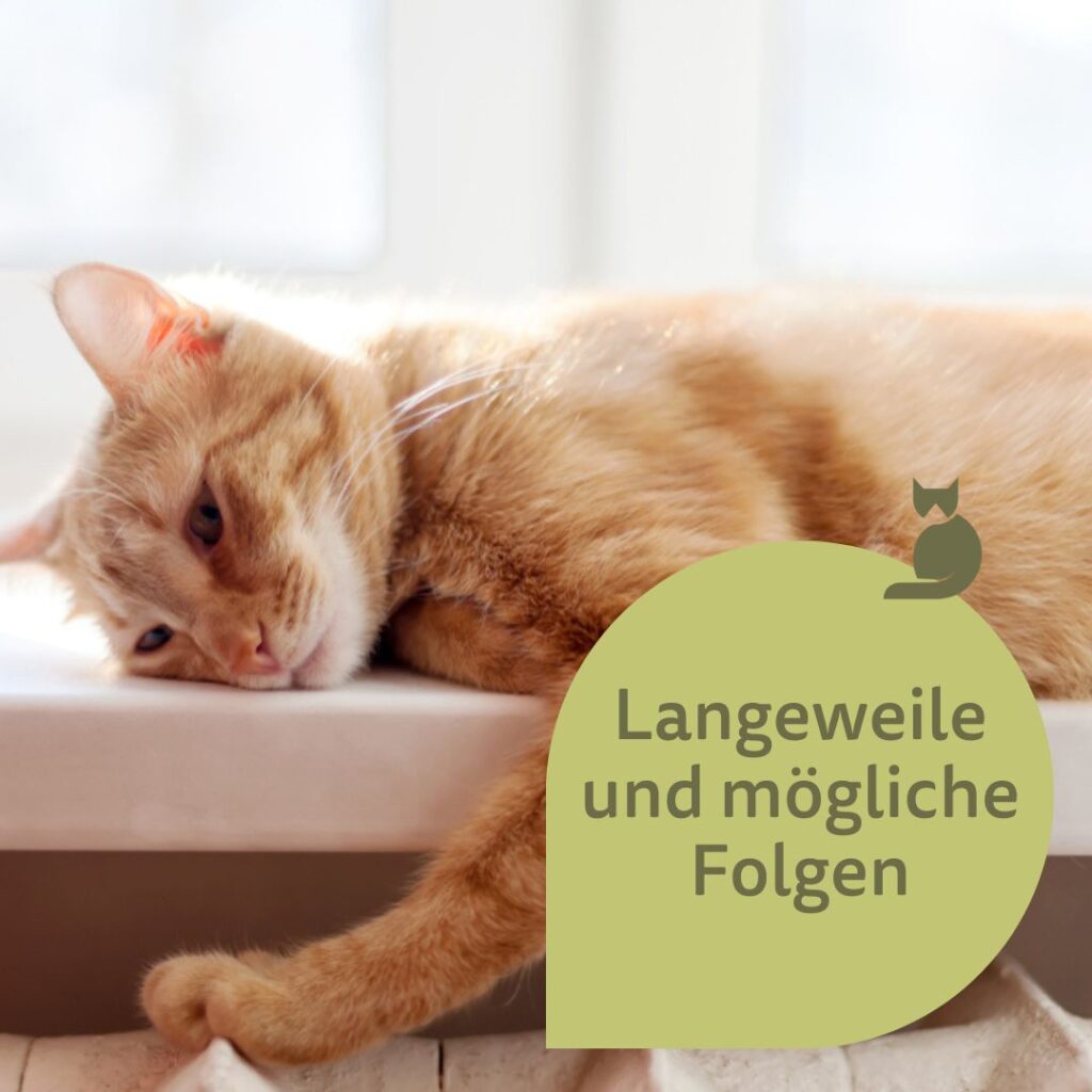 Ein rote Katze liegt auf einem Fensterbrett über der Heizung und langweilt sich sehr.